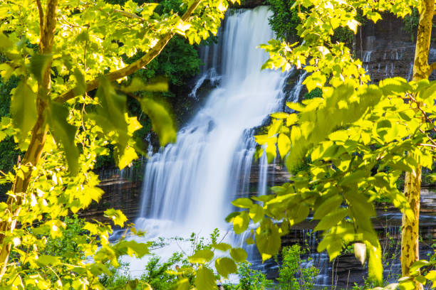 großer wasserfall, der über felsen fließt, umrahmt von üppigem goldenem laub in weichem, warmem licht - waterfall stream river tennessee stock-fotos und bilder