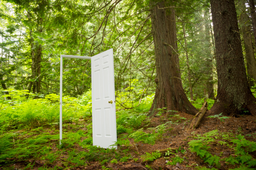 Conceptual image of an open door in a lush green forest
