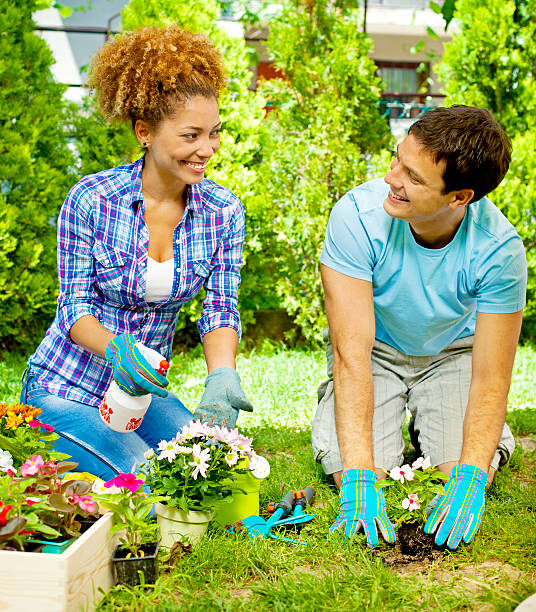 istock Young Couple Planting a Flower. 168543059