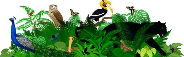 Vector illustration of Vector tropical jungle rainforest illustration with animals.