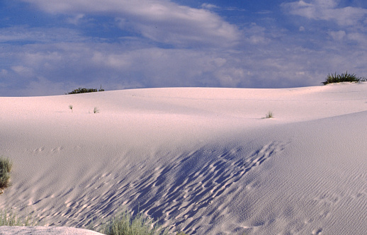 White Sands National Park rises from the heart of the Tularosa Basin and created the world's largest gypsum dune field. Here, great wave-like dunes of gypsum sand have engulfed 275 square miles of desert and preserves a piece of New Mexico's unique geology.