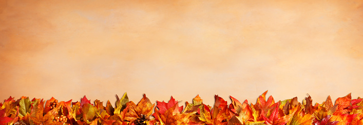 A Thanksgiving garland of autumn colored leaves on a old world painted backdrop.