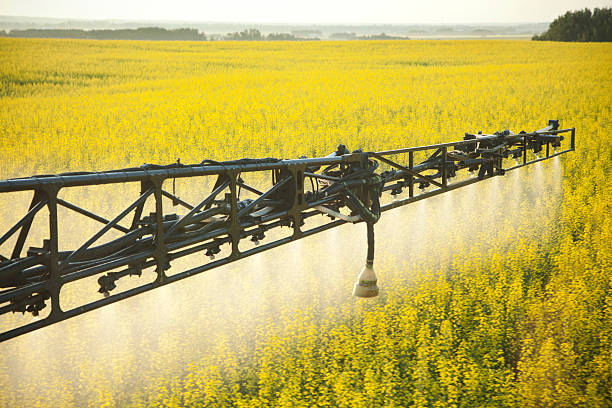 crop sprühen in canola field - spraying agriculture farm herbicide stock-fotos und bilder