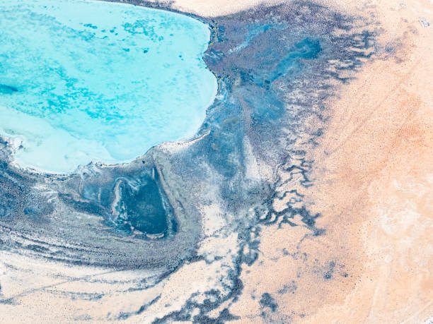 istock Aerial view of coastline 1685548123