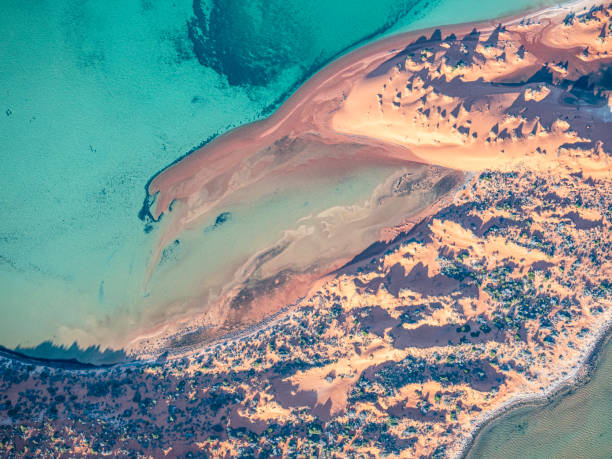 istock Aerial view of remote coastline 1685548128