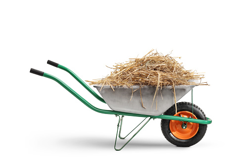 Studio shot of a metal wheelbarrow with hay isolated on white background