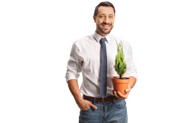 istock Businessman holding a small evergreen tree in a pot and smiling 1685628514