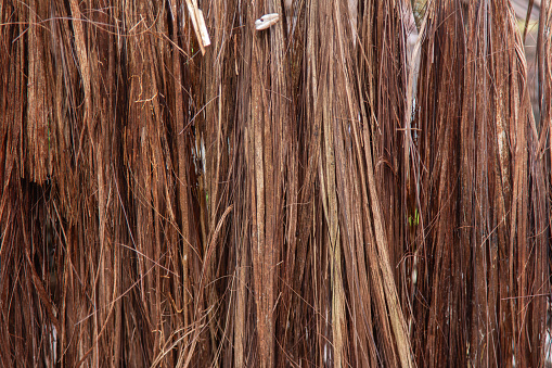 Texture of natural piassava straw.