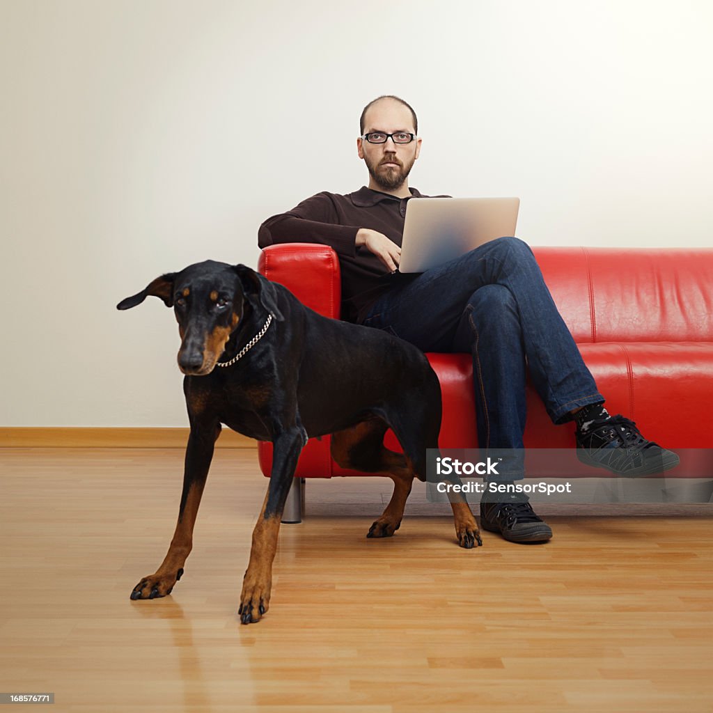 Sicherheit wie zu Hause fühlen. - Lizenzfrei Hund Stock-Foto