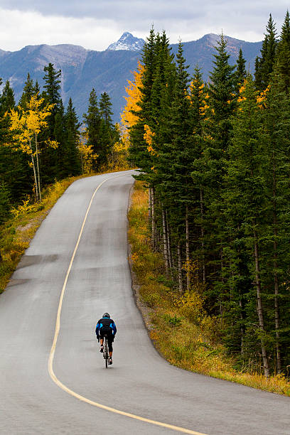 andare in bicicletta nel parco nazionale di banff - racing bicycle bicycle cycling yellow foto e immagini stock