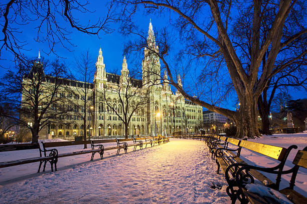 rathaus em viena - snow winter bench park imagens e fotografias de stock