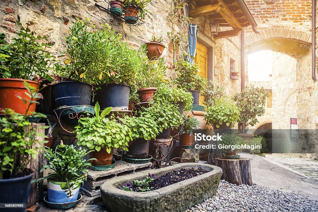 Plantas em vaso Tuscan antiga aldeia, Itália - Royalty-free Aldeia Foto de stock