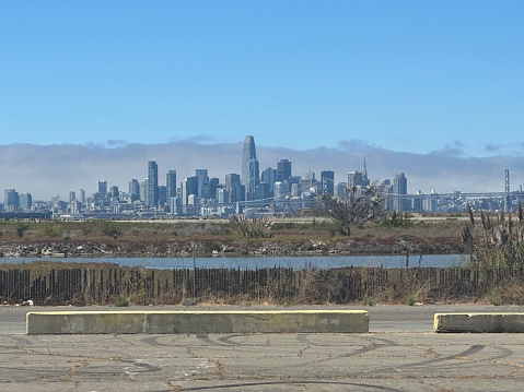 View from Alameda Point of San Francisco’s skyline and the San Francisco-Oakland Bay Bridge. A clear blue sky overhead with fog rolling behind the city skyline and bridge. Grasses, wetland and concrete paving of Alameda’s former Navy Base runways in the foreground.