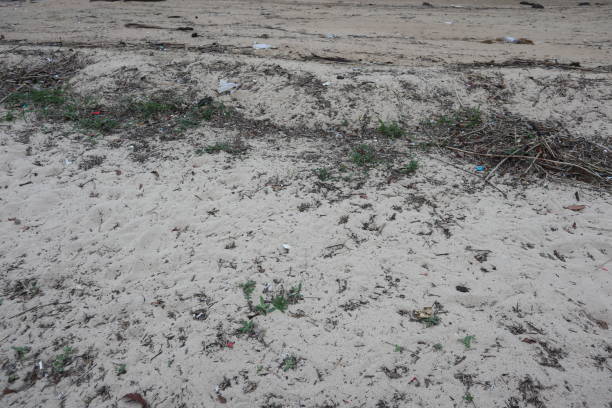 istock Sand background on the Ashia beach, Kobe Japan 1685812786