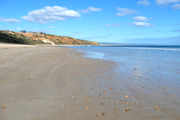 istock Moana beach, South Australia 1685814797
