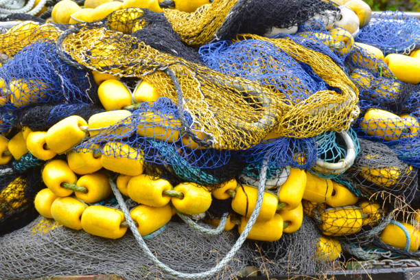 Valdez is a very important port, it is the northernmost port of the USA that does not freeze.