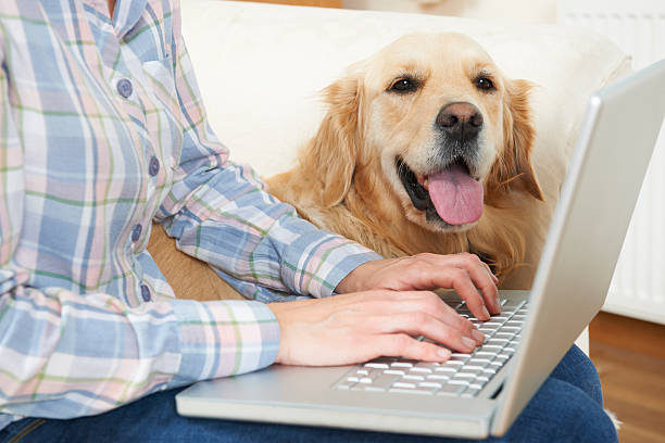 istock Dog Sitting Next To Owner Using Laptop 168582609