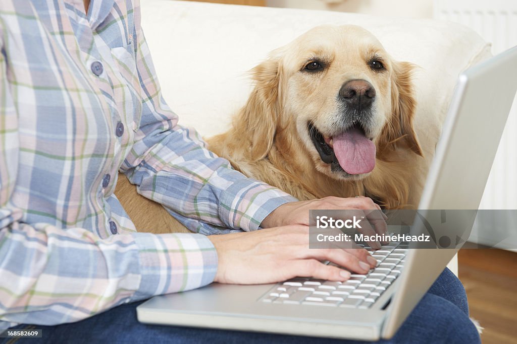 Pies siedzi obok Właściciel, korzystający z laptopa - Zbiór zdjęć royalty-free (Dorosły)