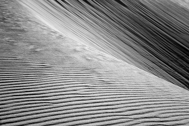 istock Sand Dune, Jericoacoara, Brazil 168583799