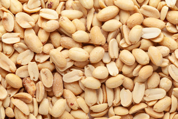 istock Crunchy roasted Peanuts, Indian namkeen (snacks). 1685895354