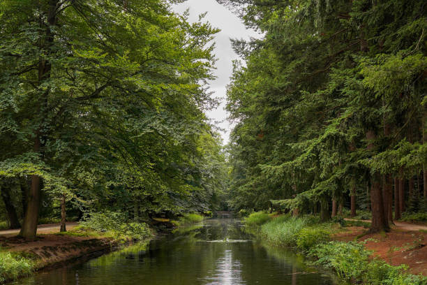 istock A river stretching into the distance with trees on the sides. 1685896926