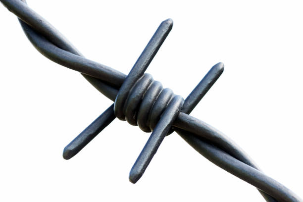 Closeup barbed wire against white background, full frame horizontal composition with copy space