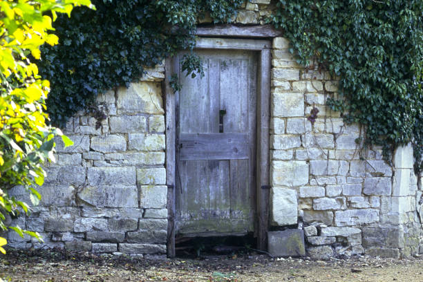 istock Secret garden door 168591668
