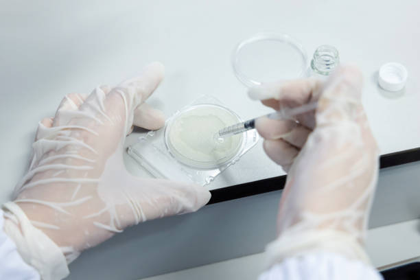 istock Scientist distilled solvent water to compact dry testing clinical samples in laboratory. 1685916904