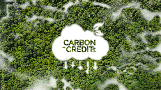 The concept of carbon credit, sustainable energy. Carbon neutrality and net zero emissions. Top view of lush trees in the forest Using renewable energy from wind and sunlight Clean energy.