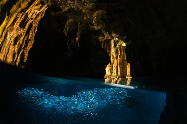 풍화된 석순과 다채로운 암석이 있는 큰 동굴 또는 바다 동굴 내부는 표면 아래에 있는 검은 색과 밝은 미끼 물고기 떼로 둘러싸여 있습니다 - school of fish flash 뉴스 사진 이미지