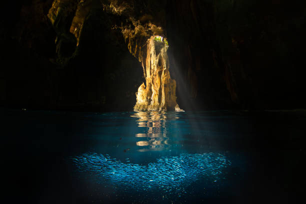 внутри большой пещеры или морской пещеры с выветренными сталагмитами и разноцветными скальными образованиями, окруженными чернотой и све� - school of fish flash стоковые фото и изображения
