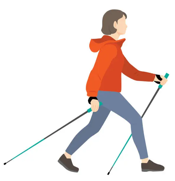 Vector illustration of Nordic walking, woman walking using poles