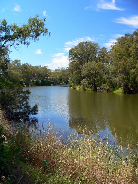 istock Macintyre River in Goondiwindi in Queensland, Australia, surrounded by trees 1685963608