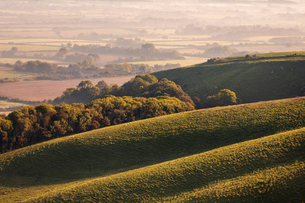 istock Misty Morning Firle Beacon South Downs 1685964119