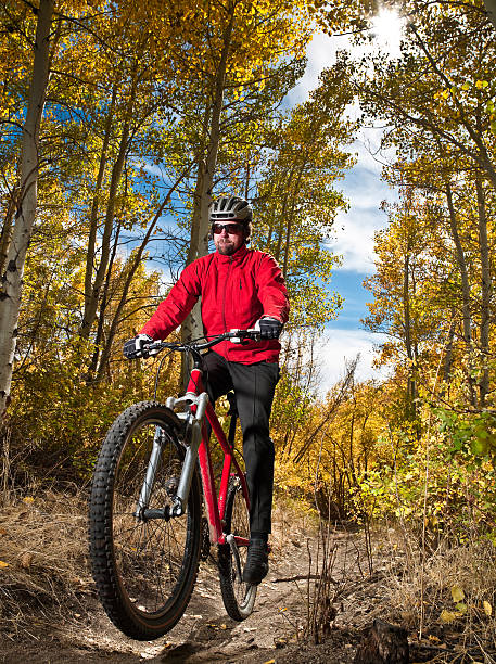 riding a amarillo aspens - usa action adventure aspen tree fotografías e imágenes de stock