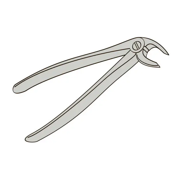 Vector illustration of teeth removal forceps Outline color vector illustration