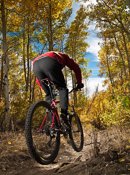 riding a amarillo aspens - usa action adventure aspen tree fotografías e imágenes de stock