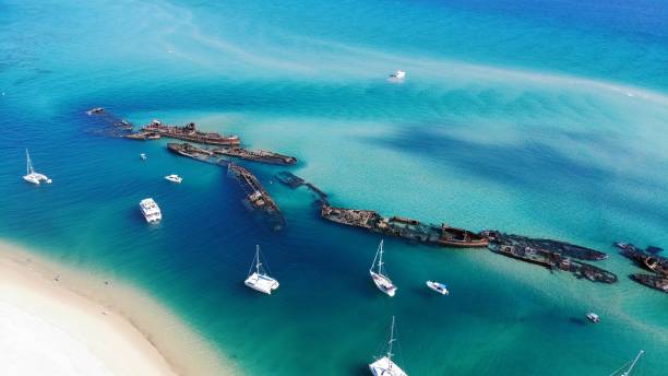 istock Tropical Island Shipwrecks and Boats 1685996032