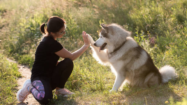 istock Girl and husky outside 1686031061