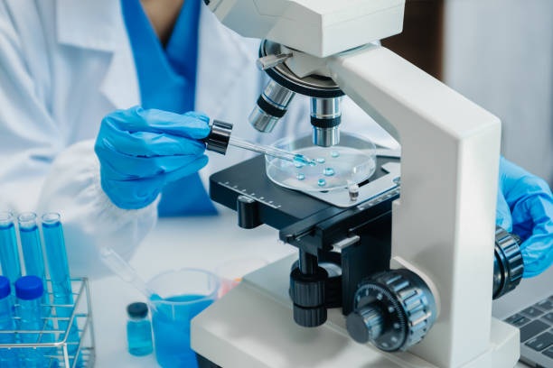 istock Modern medical research laboratory. female scientist working with micro pipettes analyzing biochemical samples, advanced science chemical laboratory 1686041030