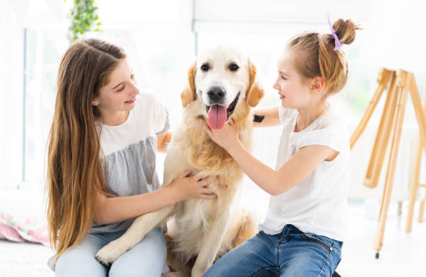 istock Cute sisters fooling with dog 1686044165