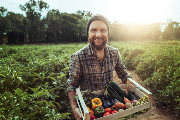 istock Man bringing fresh groceries box: agricultural activity 1686066608