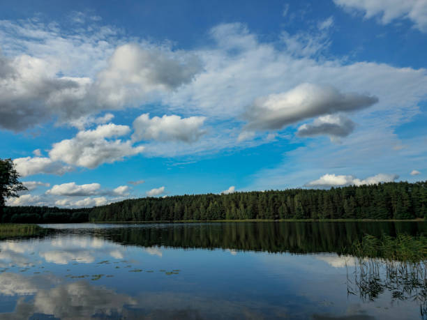 istock Lake, sky, melds, lilies, Europe. 1686068790