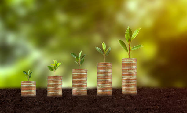 istock investment saving pile of coins 1686084079
