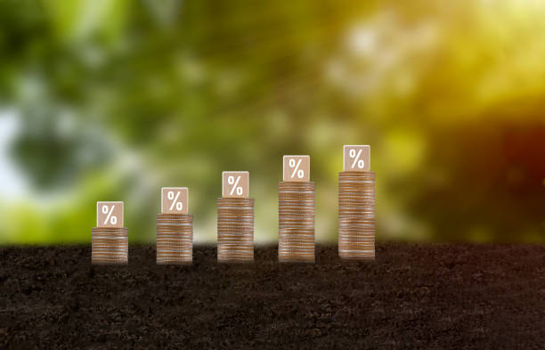 istock investment saving pile of coins 1686086717