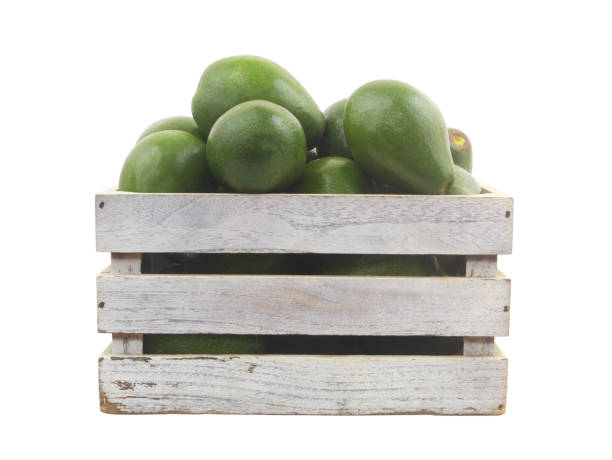 istock Wooden crate with avocados isolated on white 1686087776