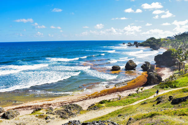 barbados, land in der karibik - barbados vacation stock-fotos und bilder