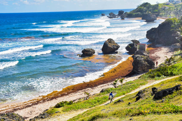 Barbados, Country in the Caribbean coastline and abondon house