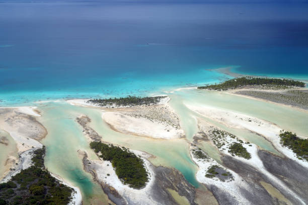 istock Rangiroa atoll - Tuamotu islands -  French Polynesia 1686105631