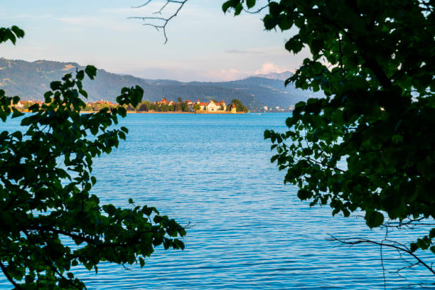 Germany, Lindau old town landscape in warm sunset light between branches of a tree